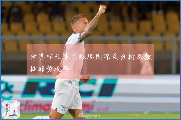 世界杯让球买球规则深度分析及数据趋势观察