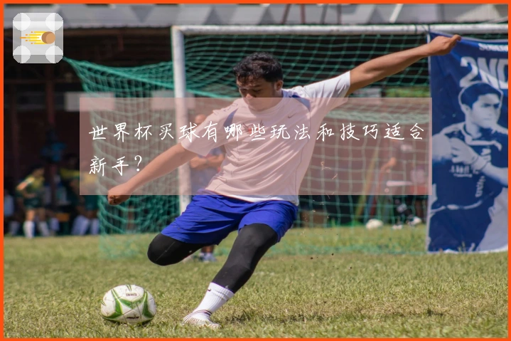 世界杯买球有哪些玩法和技巧适合新手？