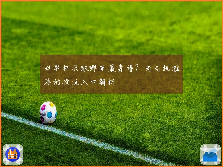世界杯买球哪里最靠谱？老司机推荐的投注入口解析