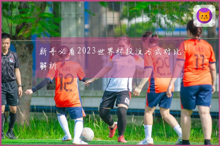 新手必看2023世界杯投注方式对比解析
