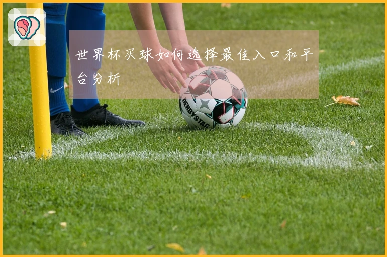 世界杯买球如何选择最佳入口和平台分析