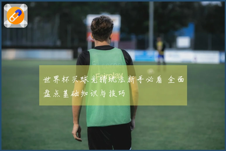 世界杯买球竞猜玩法新手必看 全面盘点基础知识与技巧