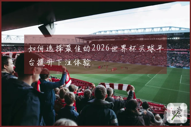 如何选择最佳的2026世界杯买球平台提升下注体验