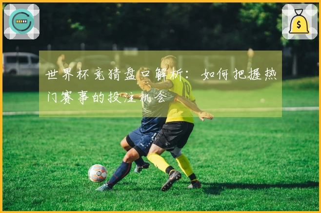 世界杯竞猜盘口解析：如何把握热门赛事的投注机会