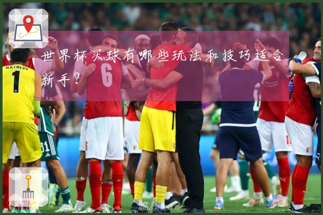世界杯买球有哪些玩法和技巧适合新手？