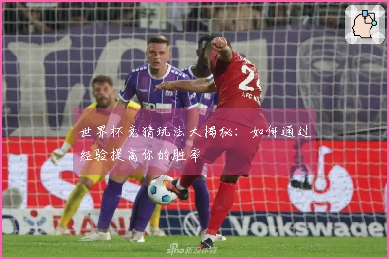 世界杯竞猜玩法大揭秘：如何通过经验提高你的胜率
