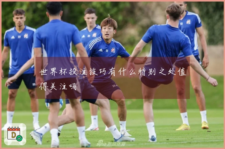 世界杯投注技巧有什么特别之处值得关注吗
