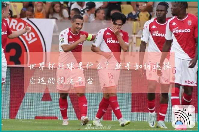 世界杯让球是什么？新手如何选择合适的投注平台