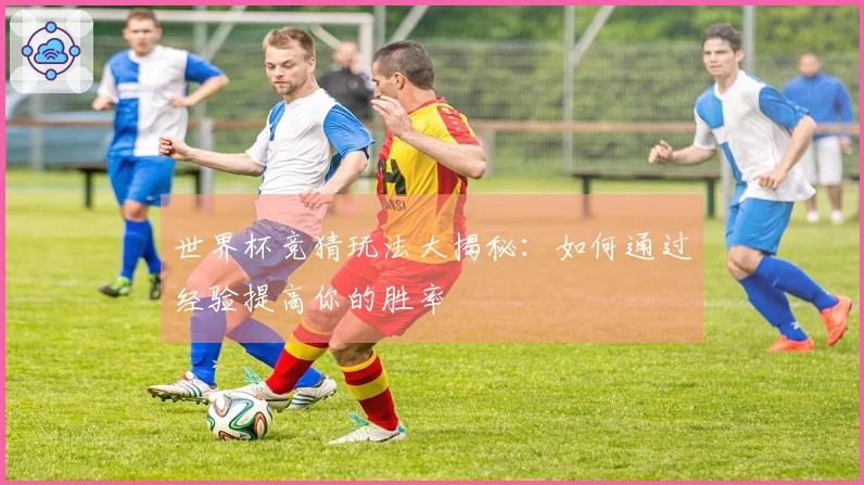 世界杯竞猜玩法大揭秘：如何通过经验提高你的胜率