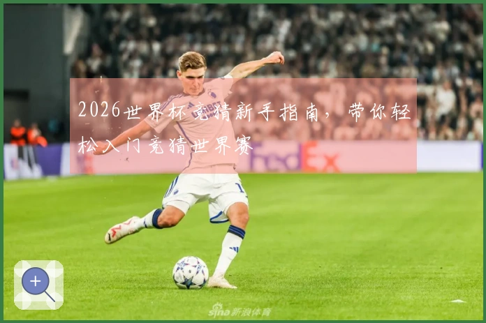 2026世界杯竞猜新手指南，带你轻松入门竞猜世界赛