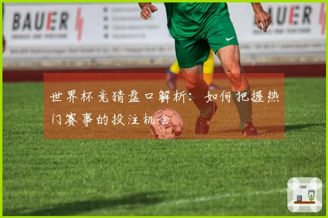 世界杯竞猜盘口解析：如何把握热门赛事的投注机会