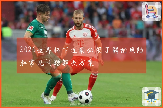 2026世界杯下注前必须了解的风险和常见问题解决方案