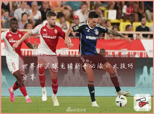 世界杯买球竞猜新手必读六大技巧分享