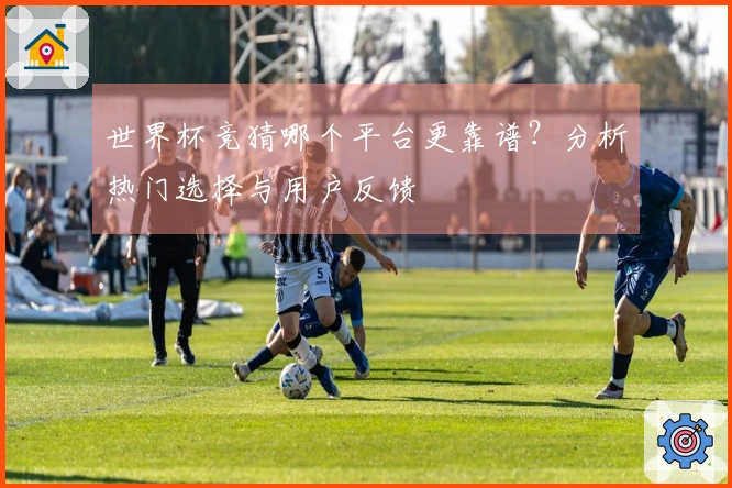 世界杯竞猜哪个平台更靠谱？分析热门选择与用户反馈