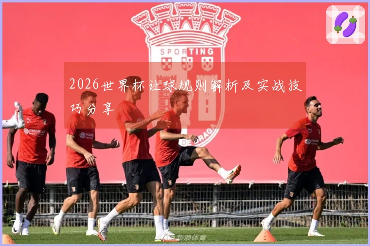 2026世界杯让球规则解析及实战技巧分享