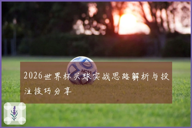 2026世界杯买球实战思路解析与投注技巧分享