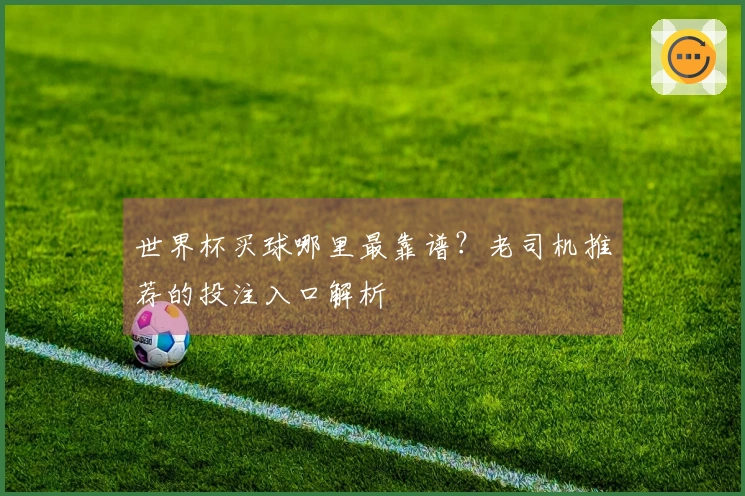 世界杯买球哪里最靠谱？老司机推荐的投注入口解析